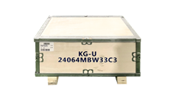 KG India